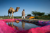 A Man returning home