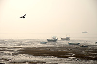 A foggy morning at Chowpatti - Mumbai
