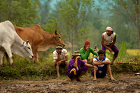 Indonesia (Sumatera)